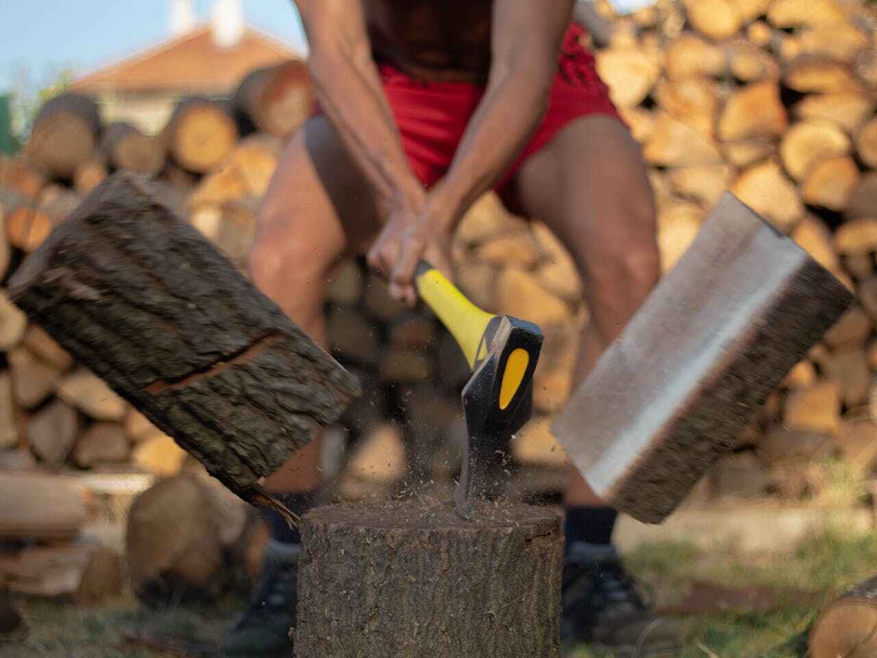 Tree Removal for Businesses in White Hall, WV